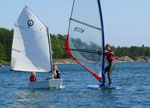 Pinseleir_2011