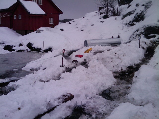 IMAGE_003